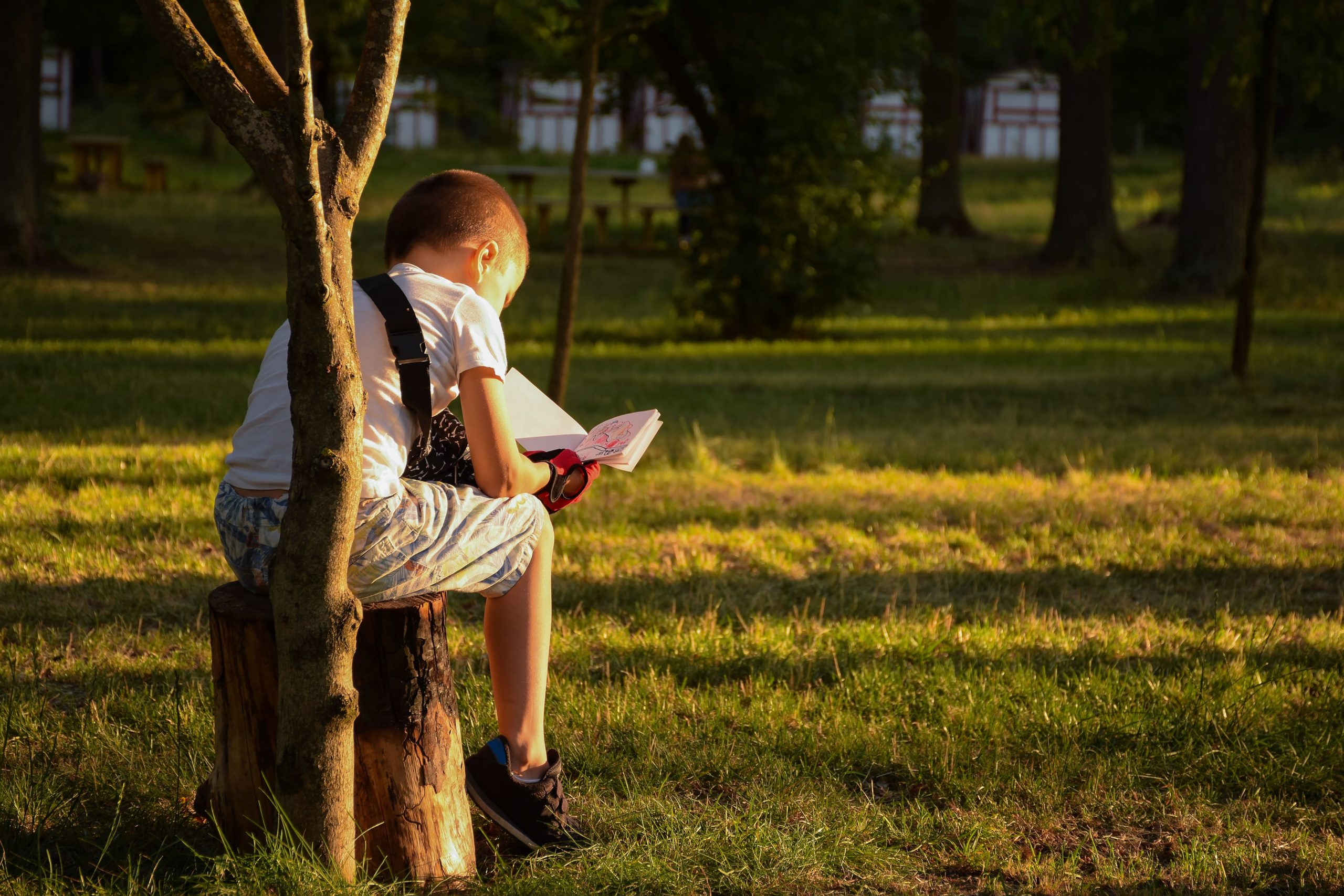 International Literacy Day: Lockdown and the literacy gap - Bonnier Books